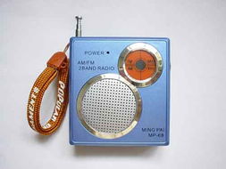 衡陽市金鼎電子有限責(zé)任公司 電子產(chǎn)品領(lǐng)域的創(chuàng)新與擔(dān)當(dāng)